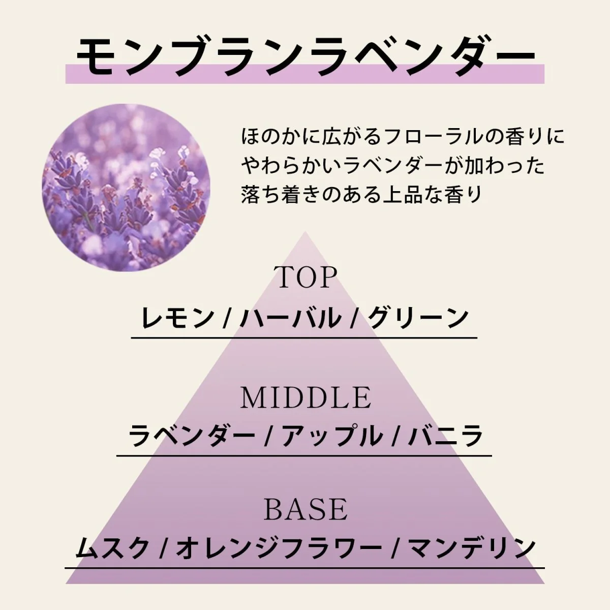 Aroma Esse リードディフューザー スターリーサマーナイト - Image 6