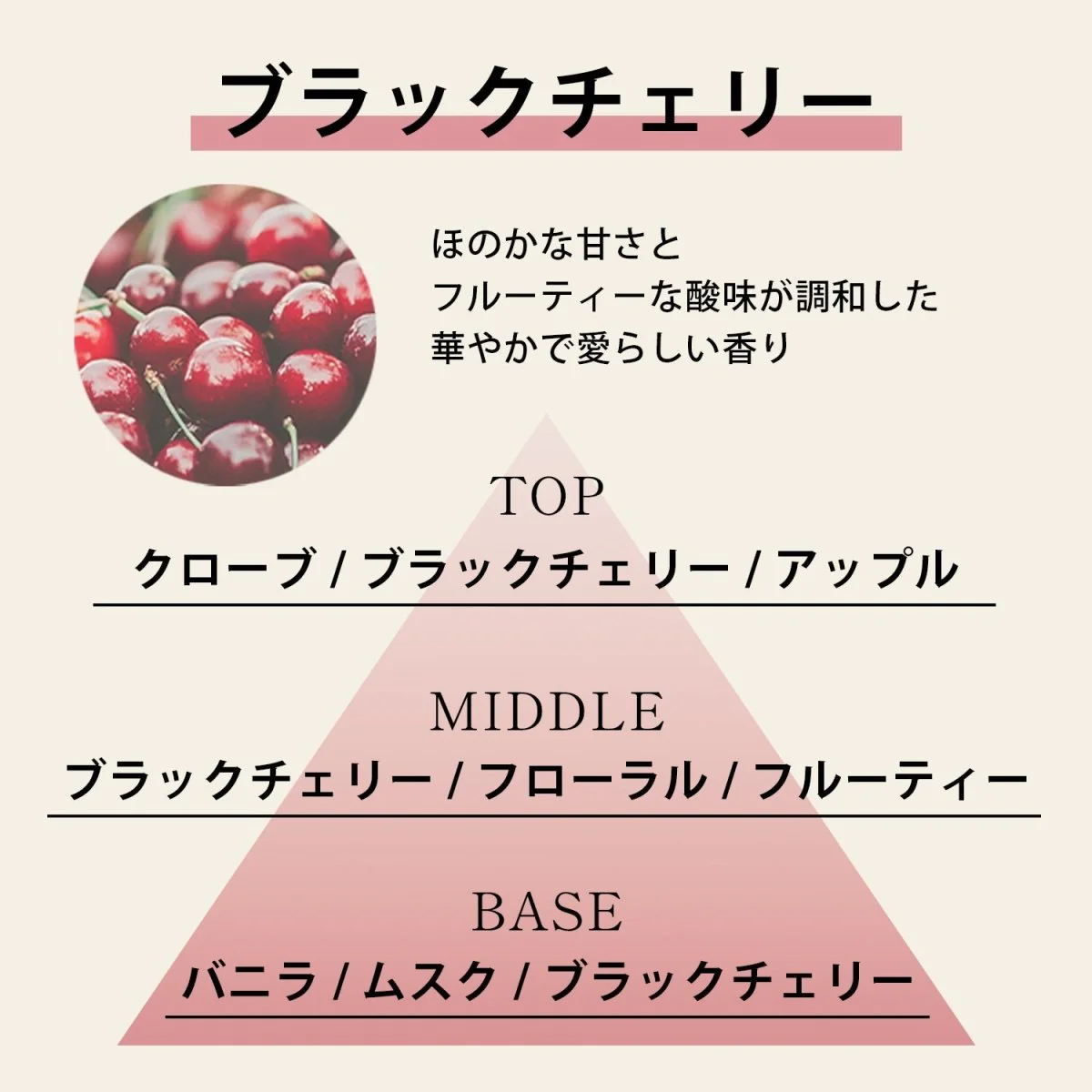 Aroma Esse リードディフューザー スターリーサマーナイト - Image 7