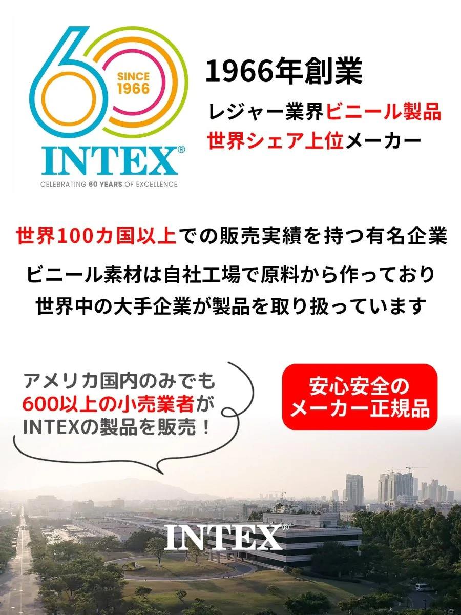 INTEX プール用カバー 28039 インテックス - Image 6