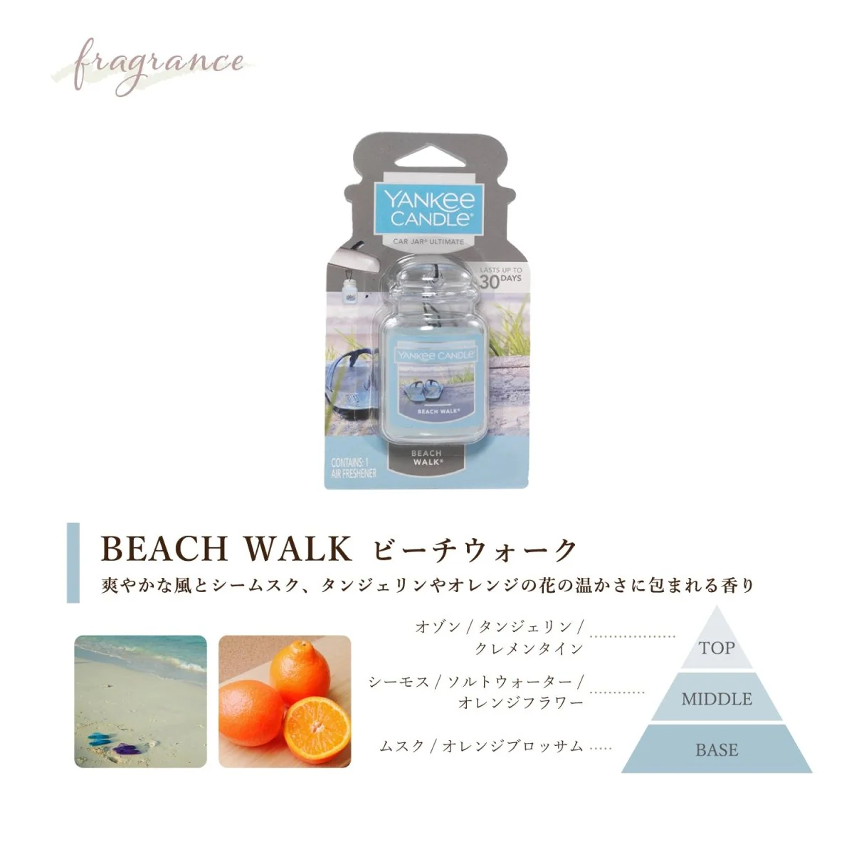YANKEE CANDLE（ヤンキーキャンドル） ネオカージャー 車用芳香剤 好きな香りを3つ選べるセット - Image 11