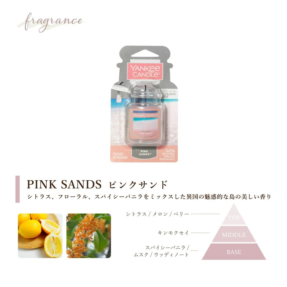 YANKEE CANDLE（ヤンキーキャンドル） ネオカージャー 車用芳香剤 好きな香りを3つ選べるセット - Image 8