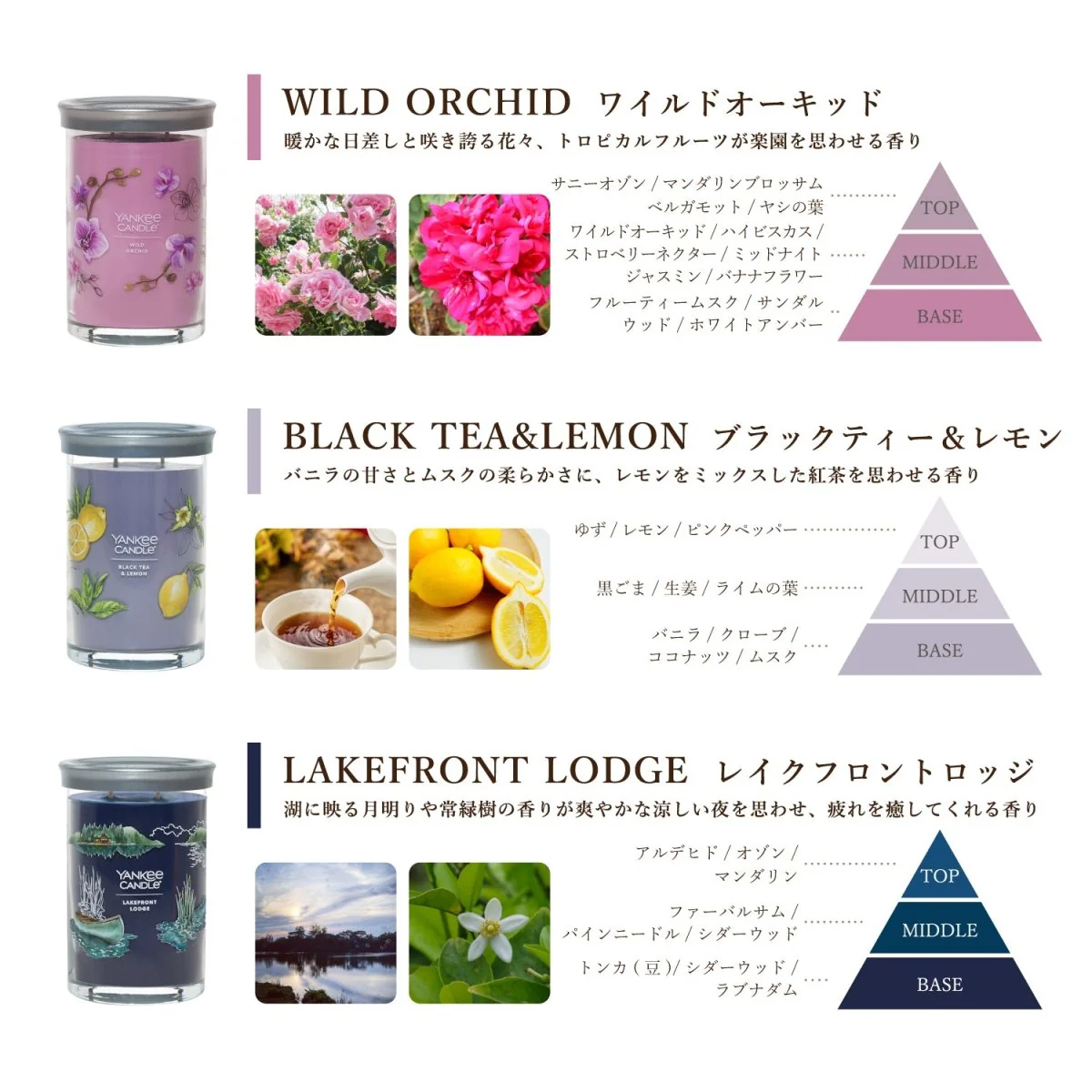 YANKEE CANDLE（ヤンキーキャンドル）アロマキャンドル シグネチャータンブラー２ウィック - Image 7